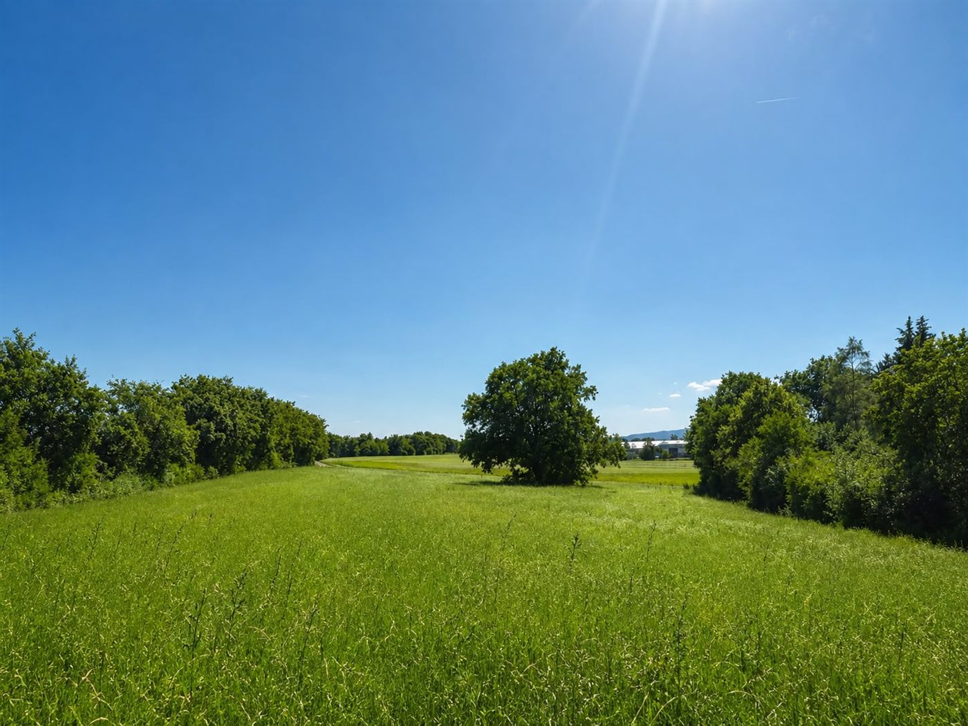 Terres agricoles cultivées aujourd’hui